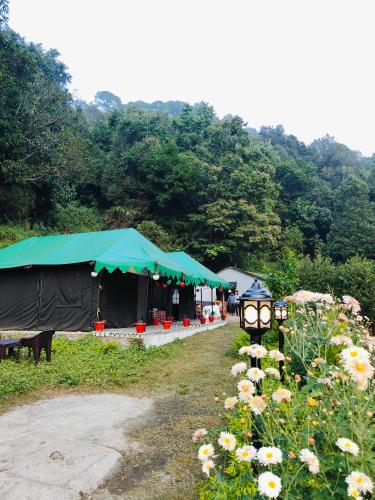 The jungle book by lake & woods in Nainital The jungle book by lake & woods in Nainital