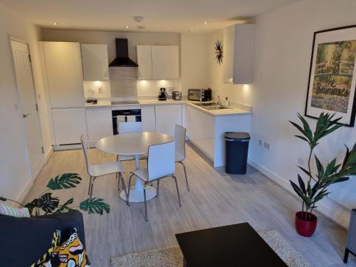 Luxe Two bedroom Flat in Birmingham with Free Wifi in Birmingham Luxe Two bedroom Flat in Birmingham with Free Wifi in Birmingham