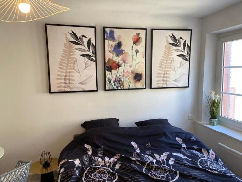 Studio Strasbourg Cathédrale