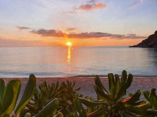 ナンユアン アイランド ダイブ リゾート20