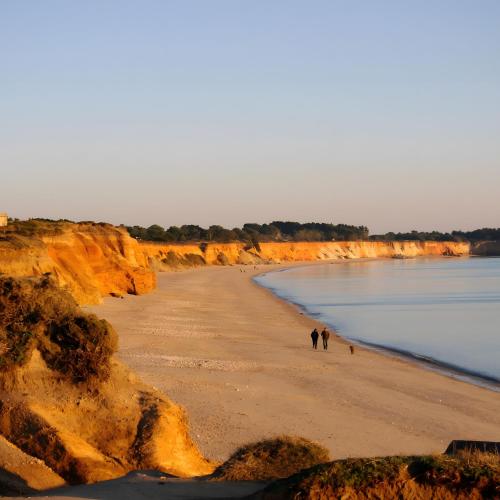 A szálláshely kívülről, Gîte Le Champ Du Bois (Gite Le Champ Du Bois) in Missillac A szálláshely kívülről, Gîte Le Champ Du Bois (Gite Le Champ Du Bois) in Missillac