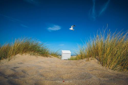 Beach, Ferienhaus Maranatha Olpenitz in Olpenitz Beach, Ferienhaus Maranatha Olpenitz in Olpenitz