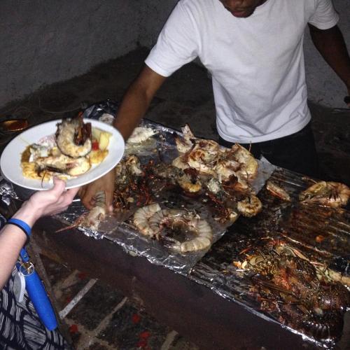 This photo about Baby Bush Lodge shared on HyHotel.com