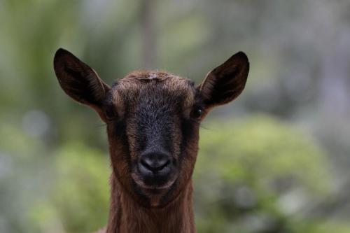 This photo about Tenuta Luogo Marchese shared on HyHotel.com