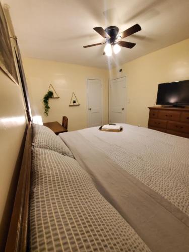 Central Louisville Gem King Size Bed in ไฮแลนด์ พาร์ค Central Louisville Gem King Size Bed in ไฮแลนด์ พาร์ค