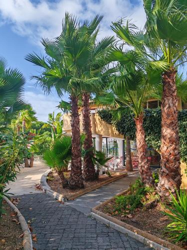 Garden, Residence Agathea in Agde Garden, Residence Agathea in Agde