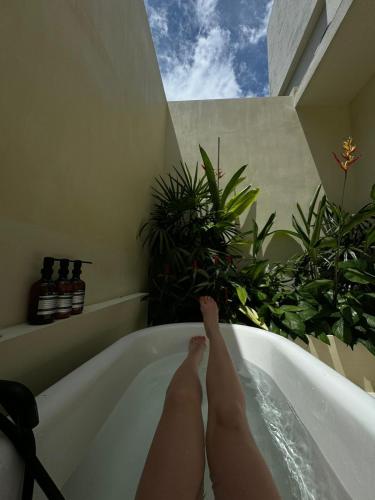 Meraki in Matara Meraki in Matara