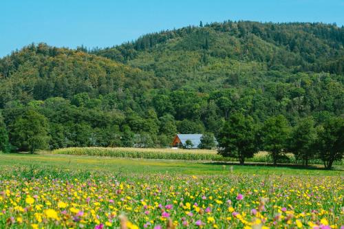 A szálláshely kívülről, Mlýnická Zahrada - chalupy (Mlynicka Zahrada - chalupy) in Mlýnický Dvůr A szálláshely kívülről, Mlýnická Zahrada - chalupy (Mlynicka Zahrada - chalupy) in Mlýnický Dvůr