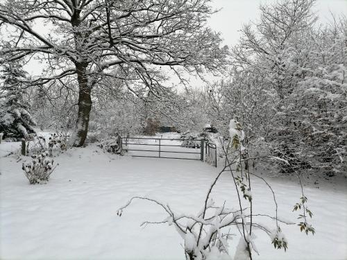 منظر, Reetdachhaus in Nordseenähe mit großem Garten (Reetdachhaus in Nordseenahe mit großem Garten) in Lunden منظر, Reetdachhaus in Nordseenähe mit großem Garten (Reetdachhaus in Nordseenahe mit großem Garten) in Lunden