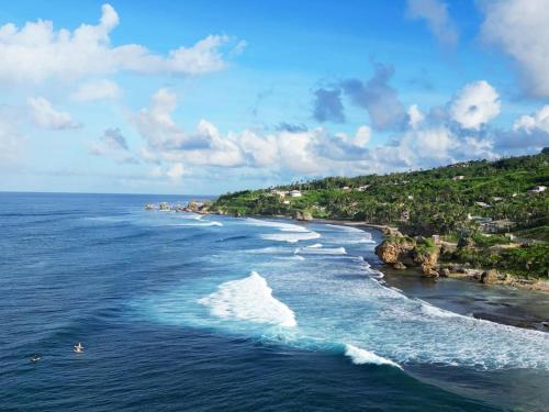 חוף ים, Little Diamond, Wooden Jungle House. Bathsheba. in באזשבה חוף ים, Little Diamond, Wooden Jungle House. Bathsheba. in באזשבה