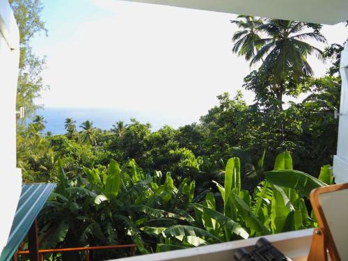 גינה, Little Diamond, Wooden Jungle House. Bathsheba. in באזשבה גינה, Little Diamond, Wooden Jungle House. Bathsheba. in באזשבה