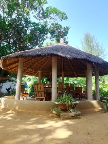 设施服务, Le jardin de Adja in 加帕罗尔 设施服务, Le jardin de Adja in 加帕罗尔