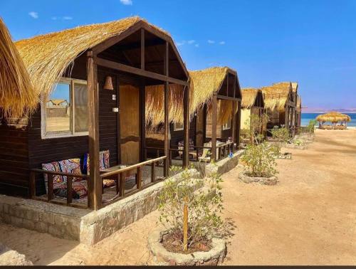 Mountain beach camp in Nuweiba Mountain beach camp in Nuweiba