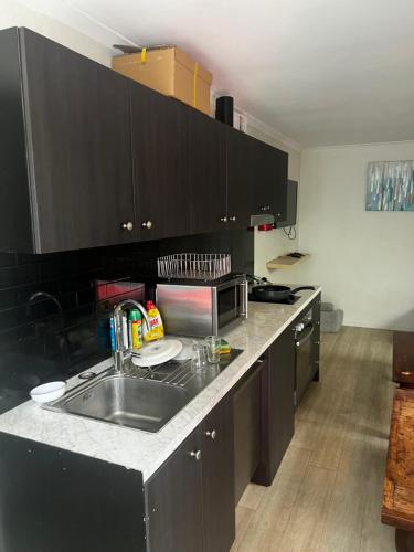 Palm Hamilton Backpackers in Brisbane Palm Hamilton Backpackers in Brisbane