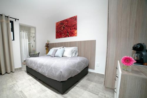 Casa Carmelia La Condesa