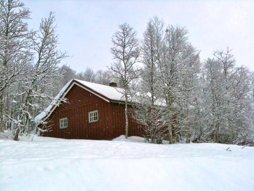 Vista exterior, Charming Cabin Ski-In Access and Pet Friendly in Beitostolen Vista exterior, Charming Cabin Ski-In Access and Pet Friendly in Beitostolen