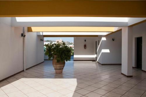 Вход, Hotel Eleni in Остров Кос Вход, Hotel Eleni in Остров Кос