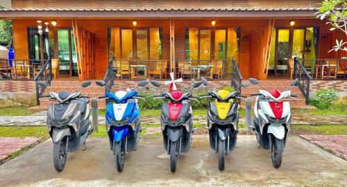 スポーツ/アクティビティ, Aow Thai Homestay in クッド島 スポーツ/アクティビティ, Aow Thai Homestay in クッド島