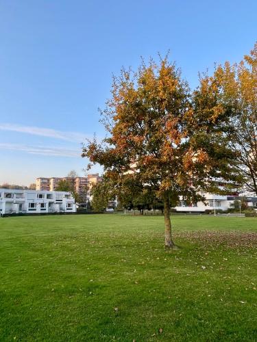 المنظر الخارجي, Prinzenhof "Lieblingsplatz" App 27 inkl WLAN in Gromitz Town Center المنظر الخارجي, Prinzenhof "Lieblingsplatz" App 27 inkl WLAN in Gromitz Town Center