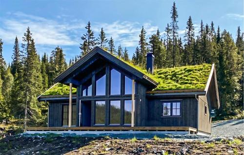 Stunning Home In Vinje With Wifi