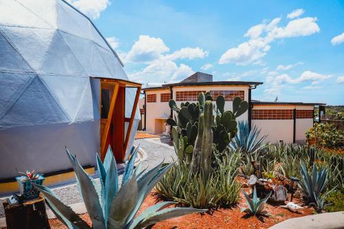 Výhled, Glamping Espiral in Pantoja Výhled, Glamping Espiral in Pantoja