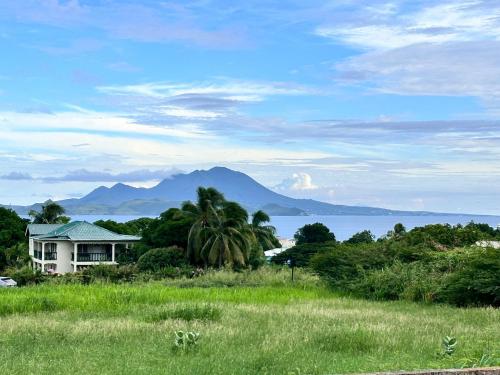 Pogled, Amber Lily Studio in Basseterre Pogled, Amber Lily Studio in Basseterre