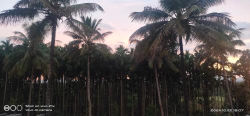 Ashoka Residency With Bar Attached in Chikkavaddarakere Ashoka Residency With Bar Attached in Chikkavaddarakere