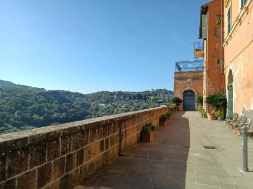 La Civetta - Casa vacanze Orte in Orte La Civetta - Casa vacanze Orte in Orte