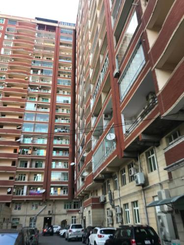 Entire apartment in the city center!