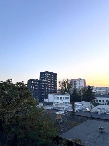 Comfort & Style 2-Room Apartment and Free Parking