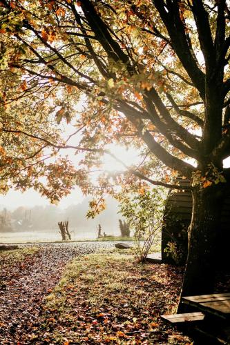 Finest Retreats - Honeysuckle Glamping Pod in فون هوب Finest Retreats - Honeysuckle Glamping Pod in فون هوب