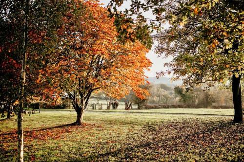 Finest Retreats - Honeysuckle Glamping Pod in فون هوب Finest Retreats - Honeysuckle Glamping Pod in فون هوب