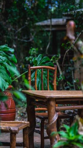 拉阿爾德德拉瑟爾瓦旅館 (La Aldea De La Selva Lodge) in 伊瓜蘇港市 拉阿爾德德拉瑟爾瓦旅館 (La Aldea De La Selva Lodge) in 伊瓜蘇港市