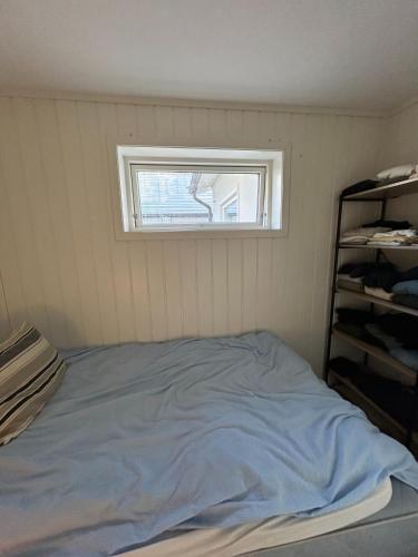 Tromsø Winter Wonderland