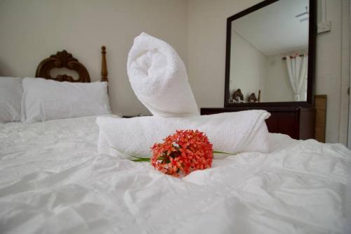 Taylor's Retreat - 5min to Sandals Resort & Beach in Сейнт Винсент Taylor's Retreat - 5min to Sandals Resort & Beach in Сейнт Винсент