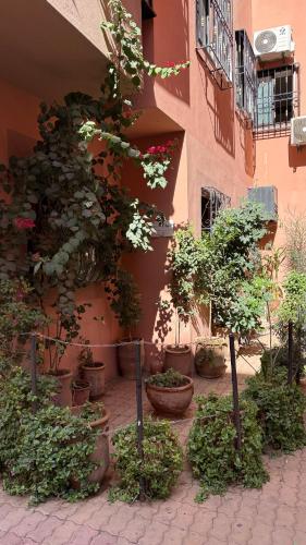 Family flat in Marrakech