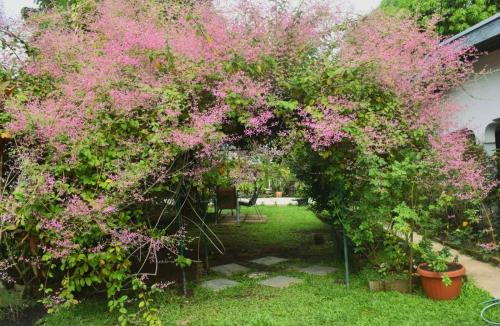 ガーデン, Marys Cottage in バ ガーデン, Marys Cottage in バ