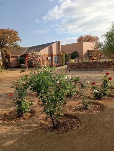 ガーデン, Ledoba Bed & Breakfast in セレビ ピクウェ ガーデン, Ledoba Bed & Breakfast in セレビ ピクウェ