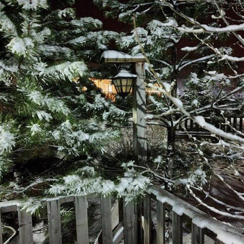 OBA KÜTÜK EVLERi (OBA KUTUK EVLERi) in Tazılar OBA KÜTÜK EVLERi (OBA KUTUK EVLERi) in Tazılar