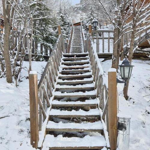 OBA KÜTÜK EVLERi (OBA KUTUK EVLERi) in Tazılar OBA KÜTÜK EVLERi (OBA KUTUK EVLERi) in Tazılar