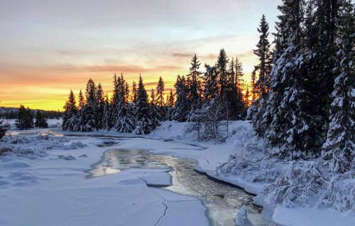 สิ่งอำนวยความสะดวก, Nice Home In Sjusjøen With Wifi in ชูเชิน สิ่งอำนวยความสะดวก, Nice Home In Sjusjøen With Wifi in ชูเชิน
