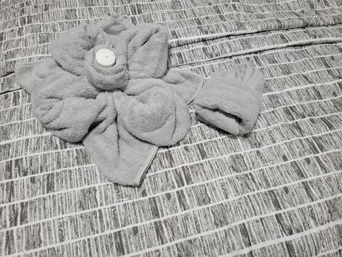 Comfortable in Cranford (NJ) Comfortable in Cranford (NJ)