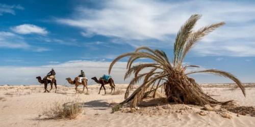 Attractions, Maison Proche De Desert Douz in Douz Attractions, Maison Proche De Desert Douz in Douz