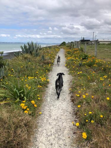 R&R Studio in เอสค์เดล R&R Studio in เอสค์เดล