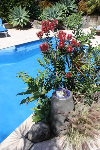 Bassein, Snells Beach Motel in Warkworth Bassein, Snells Beach Motel in Warkworth