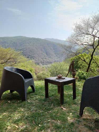 정원, El Siambon Los Aromos in 시우다드 우니베르시타리아 정원, El Siambon Los Aromos in 시우다드 우니베르시타리아