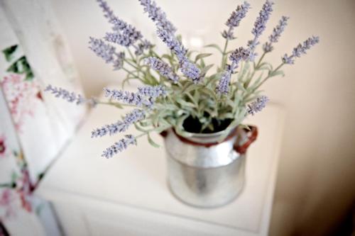 This photo about Parco di Nerone shared on HyHotel.com