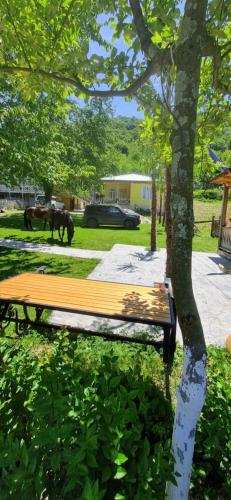 Guest House Balda in Ianet'I Guest House Balda in Ianet'I