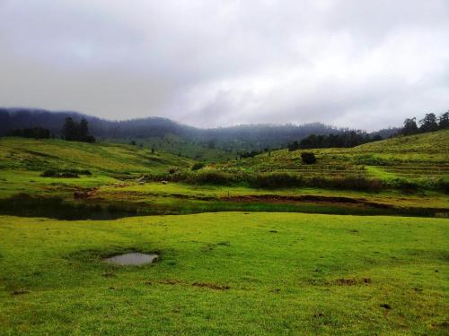 Misty Mountain Cottage Kodaikanal