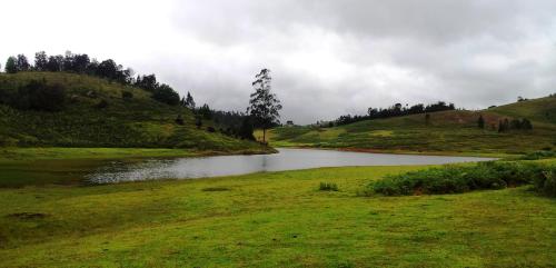 Misty Mountain Cottage Kodaikanal